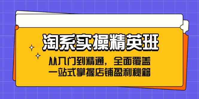 淘系实操精英班：从入门到精通，全面覆盖，一站式掌握店铺盈利秘籍-占领资源网