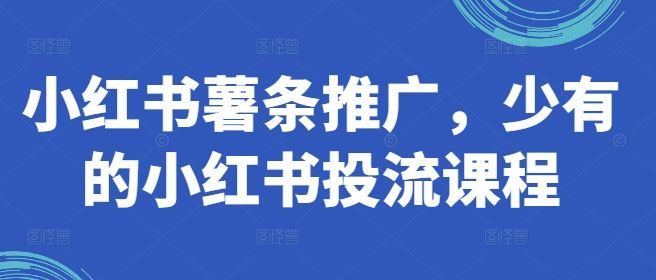 小红书薯条推广，少有的小红书投流课程-占领资源网