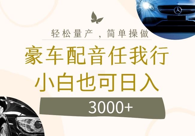 不为人知的暴力小项目，豪车配音，日入几张【揭秘】-占领资源网