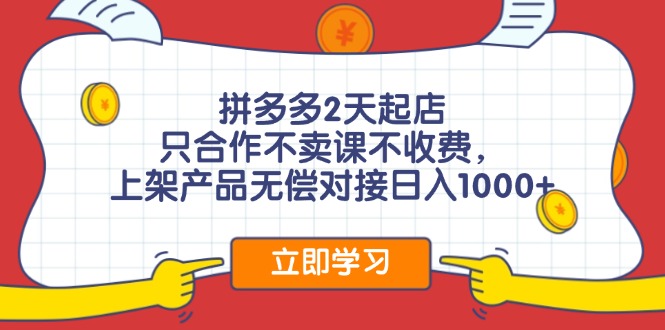 （12356期）拼多多0成本开店，只合作不卖课不收费，0成本尝试，日赚千元+-占领资源网