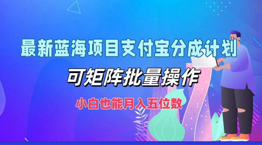 最新蓝海项目支付宝分成计划，可矩阵批量操作，小白也能月入五位数-占领资源网