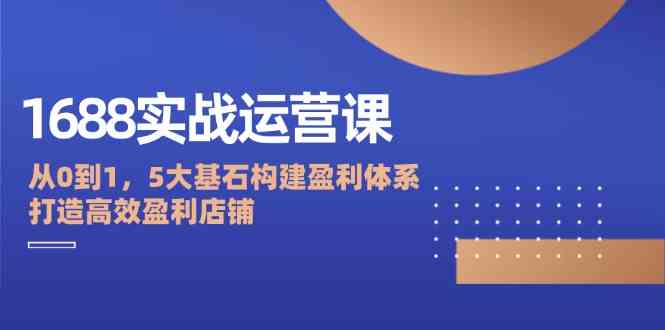 1688实战运营课：从0到1，5大基石构建盈利体系，打造高效盈利店铺-占领资源网