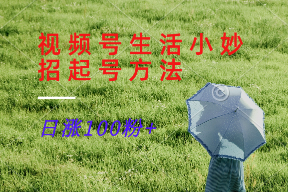 视频号生活小妙招分享赛道， 起号涨粉新方法，日涨100粉-占领资源网