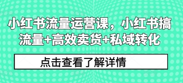 小红书流量运营课，小红书搞流量+高效卖货+私域转化-占领资源网