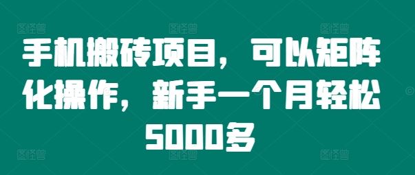 手机搬砖项目，可以矩阵化操作，新手一个月轻松5000多-占领资源网