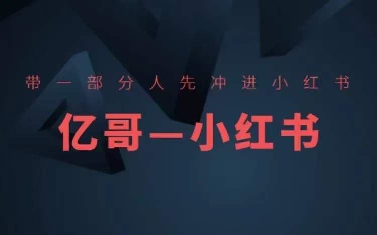 ​​带一部分人先冲进小红书，小红书开店、选品、爆款裂变-占领资源网