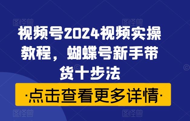 视频号2024视频实操教程，蝴蝶号新手带货十步法-占领资源网