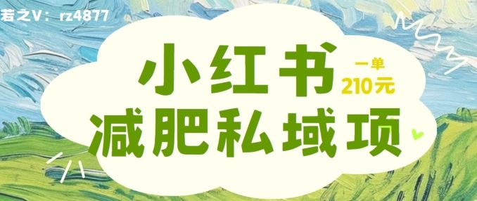 小红书减肥粉，私域变现项目，一单就达210元，小白也能轻松上手【揭秘】-占领资源网