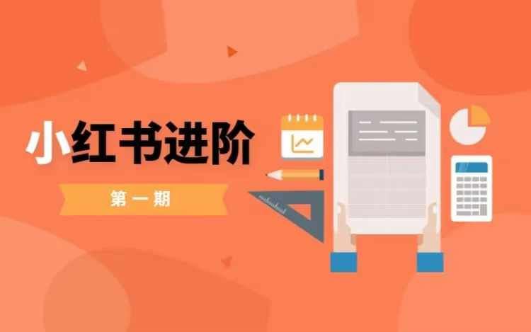 小红书进阶篇，零基础小白实战课，普通人变现的课程-占领资源网