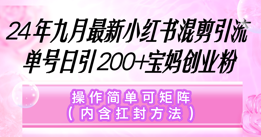 （12530期）小红书混剪引流，单号日引200+宝妈创业粉，操作简单可矩阵（内含扛封…-占领资源网