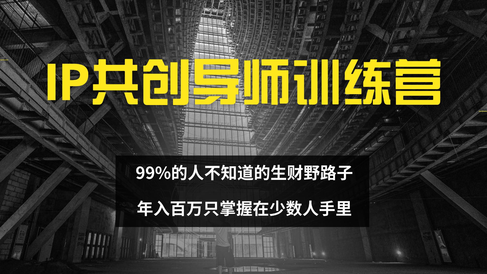 （12504期）IP共创导师训练营 99%的人不知道的生财野路子 只掌握在少数人手里-占领资源网