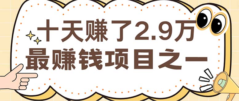 （12491期）闲鱼小红书赚钱项目之一，轻松月入6万+项目-占领资源网