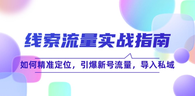 （12382期）线 索 流 量-实战指南：如何精准定位，引爆新号流量，导入私域-占领资源网