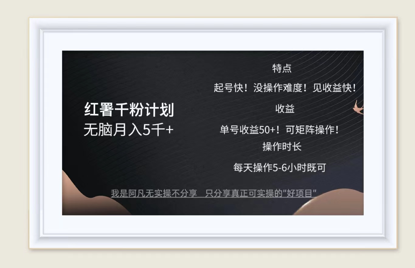 （12560期）红薯千粉计划无脑月入5千+！既做既赚！-占领资源网