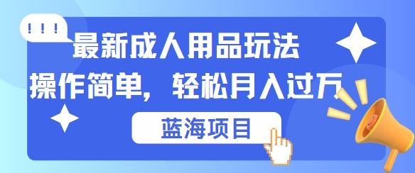 最新成人用品项目玩法，操作简单，动动手，轻松日入几张【揭秘】-占领资源网