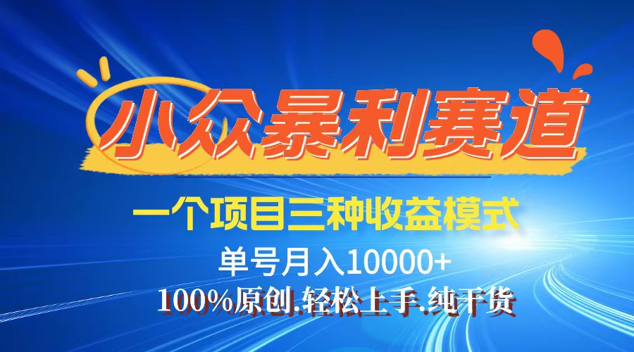 （12579期）【老人言】-视频号爆火赛道，三种变现方式，0粉新号调调爆款-占领资源网