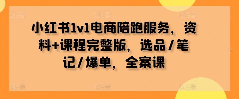 小红书1v1电商陪跑服务，资料+课程完整版，选品/笔记/爆单，全案课-占领资源网