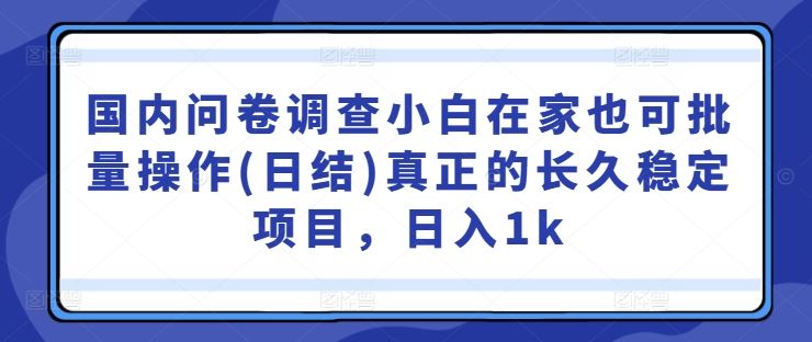 国内问卷调查小白在家也可批量操作(日结)真正的长久稳定项目，日入1k【揭秘】-占领资源网