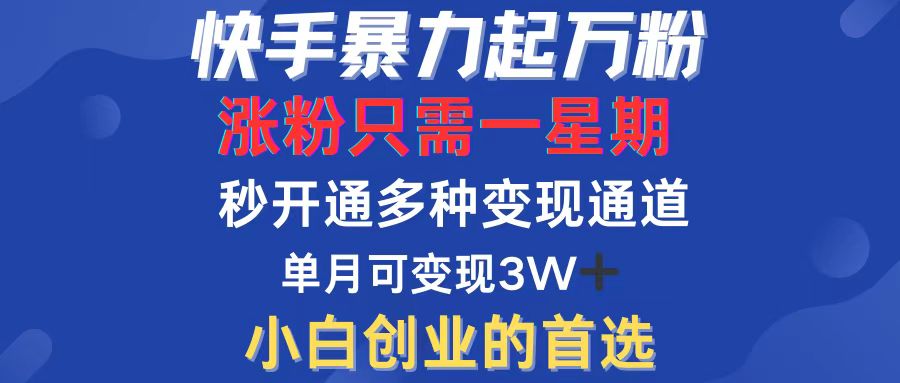（12651期）快手暴力起万粉，涨粉只需一星期，多种变现模式，直接秒开万合，小白创…-占领资源网