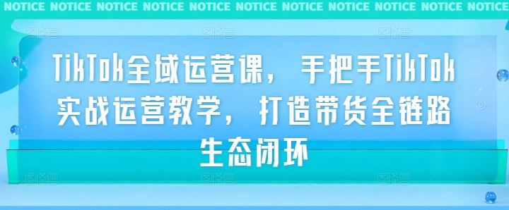 TikTok全域运营课，手把手TikTok实战运营教学，打造带货全链路生态闭环-占领资源网