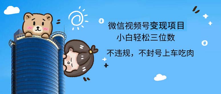 （12660期）2024最新微信视频号，0撸项目，自己玩，小白轻松日入三位数-占领资源网