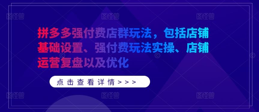 拼多多强付费店群玩法，包括店铺基础设置、强付费玩法实操、店铺运营复盘以及优化-占领资源网