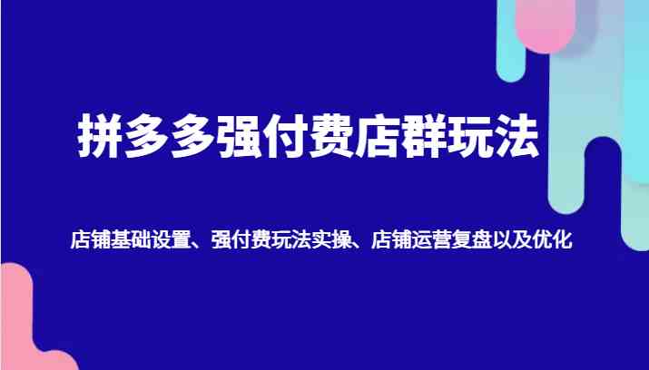 拼多多强付费店群玩法：店铺基础设置、强付费玩法实操、店铺运营复盘以及优化-占领资源网
