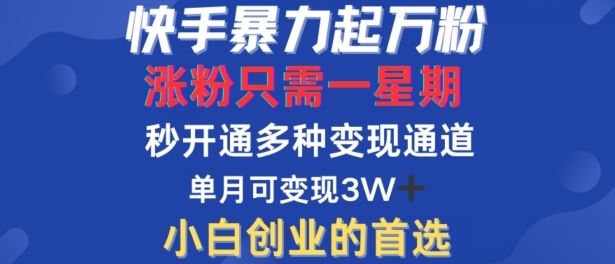 快手暴力起万粉，涨粉只需一星期，多种变现模式，直接秒开万合，单月变现过W【揭秘】-占领资源网