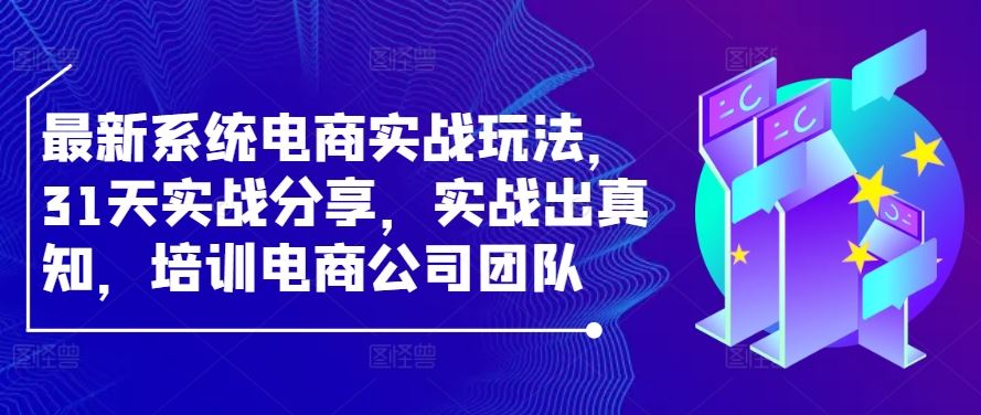 最新系统电商实战玩法，31天实战分享，实战出真知，培训电商公司团队-占领资源网