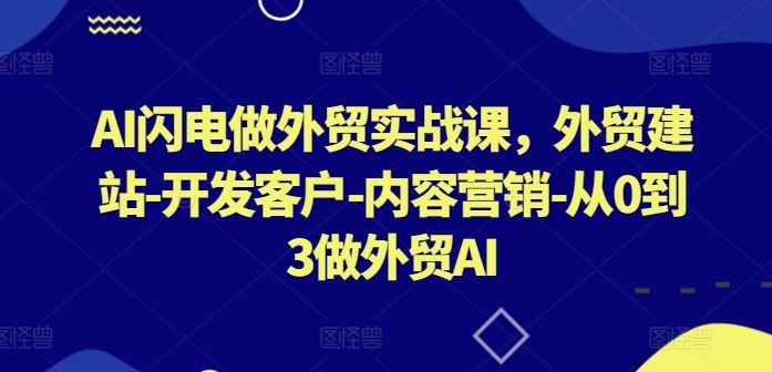 AI闪电做外贸实战课，​外贸建站-开发客户-内容营销-从0到3做外贸AI（更新）-占领资源网