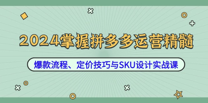 （12703期）2024掌握拼多多运营精髓：爆款流程、定价技巧与SKU设计实战课-占领资源网