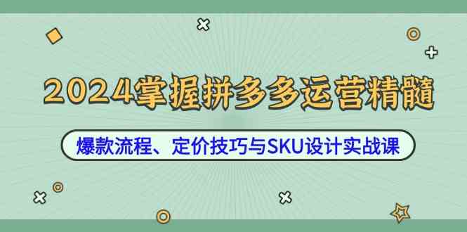 2024掌握拼多多运营精髓：爆款流程、定价技巧与SKU设计实战课-占领资源网