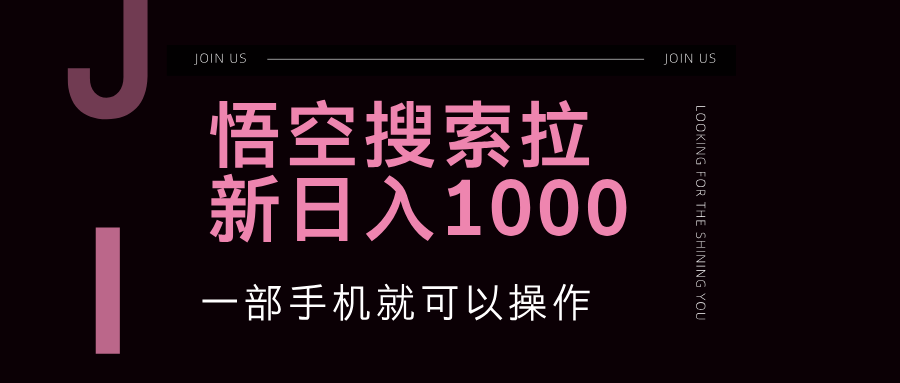 （12717期）悟空搜索类拉新 蓝海项目 一部手机就可以操作 教程非常详细-占领资源网