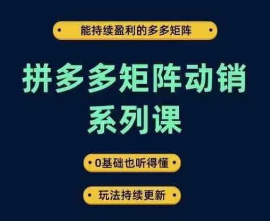拼多多矩阵动销系列课，能持续盈利的多多矩阵，0基础也听得懂，玩法持续更新-占领资源网