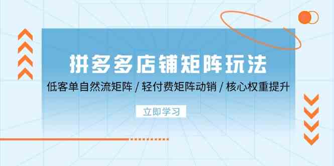 拼多多店铺矩阵玩法：低客单自然流矩阵 / 轻付费矩阵 动销 / 核心权重提升-占领资源网