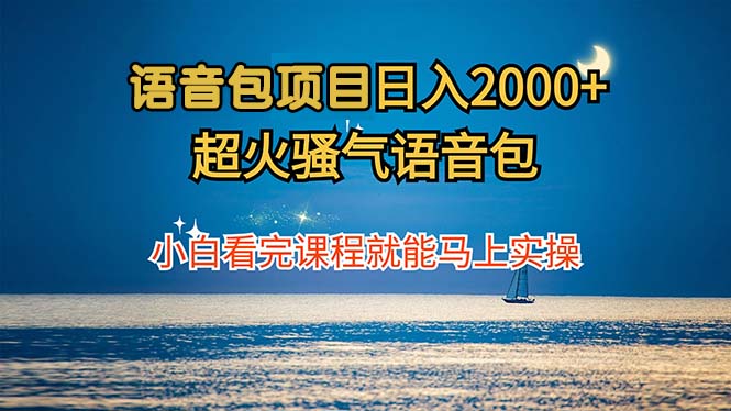 （12734期）语音包项目 日入2000+ 超火骚气语音包小白看完课程就能马上实操-占领资源网