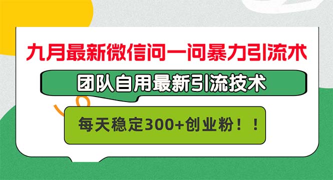 （12735期）九月最新微信问一问暴力引流术，团队自用引流术，每天稳定300+创…-占领资源网