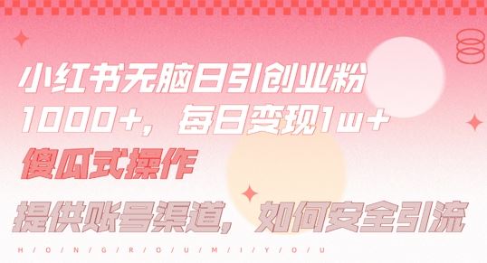 小红书无脑每日引流创业粉500+，小白每天只花半小时，躺赚长尾收益【揭秘】-占领资源网