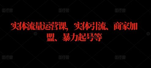 实体流量运营课，实体引流、商家加盟、暴力起号等-占领资源网