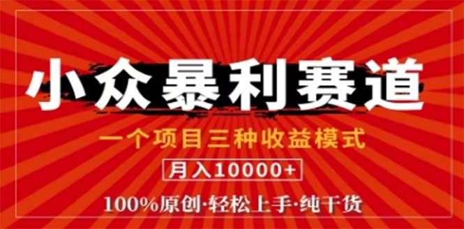 （12756期）视频号最新爆火赛道，三种可收益模式，0粉新号条条原创条条热门 日入1000+-占领资源网