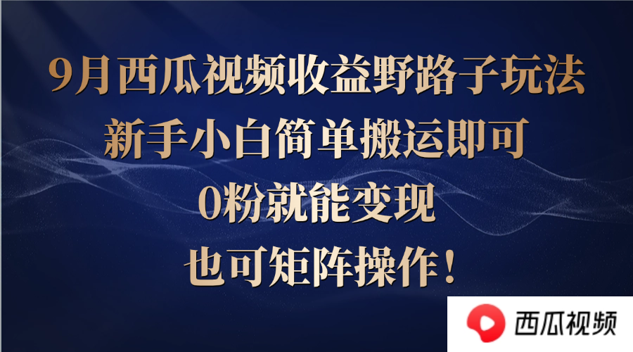 （12760期）西瓜视频收益野路子玩法，新手小白简单搬运即可，0粉就能变现，也可矩…-占领资源网