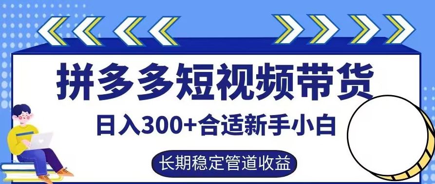 拼多多短视频带货日入300+有长期稳定被动收益，合适新手小白【揭秘】-占领资源网