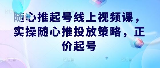 随心推起号线上视频课，实操随心推投放策略，正价起号-占领资源网