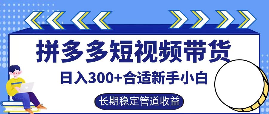拼多多短视频带货日入300+，实操账户展示看就能学会-占领资源网