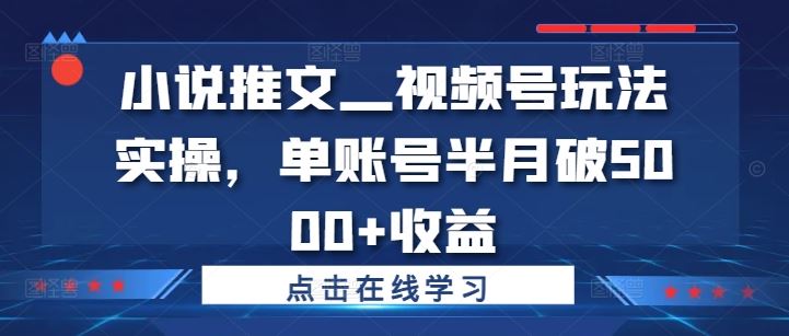 小说推文—视频号玩法实操，单账号半月破5000+收益-占领资源网