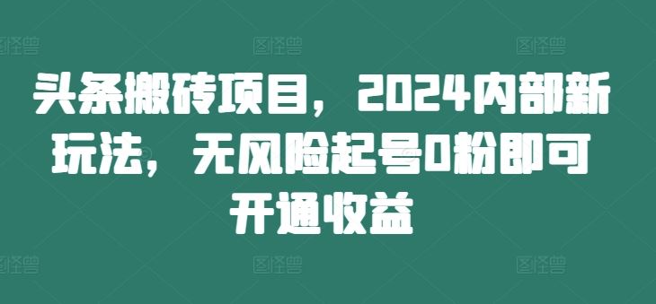 头条搬砖项目，2024内部新玩法，无风险起号0粉即可开通收益-占领资源网