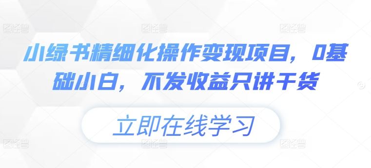 小绿书精细化操作变现项目，0基础小白，不发收益只讲干货-占领资源网