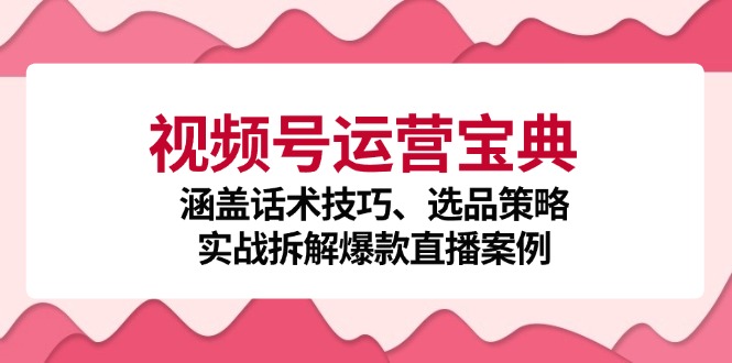 （12808期）视频号运营宝典：涵盖话术技巧、选品策略、实战拆解爆款直播案例-占领资源网