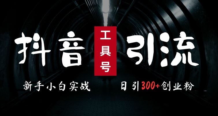 2024最新抖音工具号引流玩法，高效日引300+创业粉，当天变现5k，小白也可成为实战高手-占领资源网