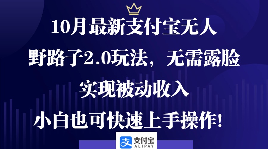 （12824期）10月最新支付宝无人野路子2.0玩法，无需露脸，实现被动收入，小白也可…-占领资源网